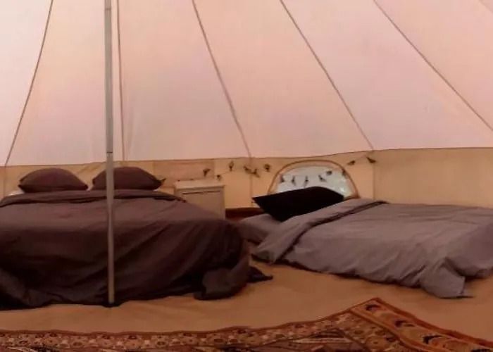 Domaine De La Celarie 3* Mouzieys-Teulet